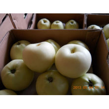 Gloden delicioso manzana en gran cantidad con bajo precio